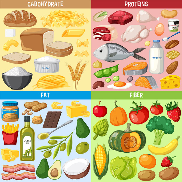 Иллюстрация четырех групп продуктов питания - Вектор,изображение