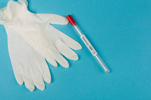 Top view of latex gloves near throat swab with omicron xbb lettering on blue background  - Photo, image