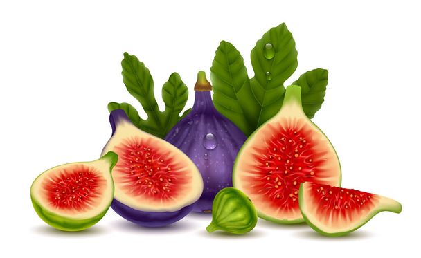 Figs realistic composition consisting of whole and cut fresh ripe fruits on white background vector illustration - Vektor, obrázek