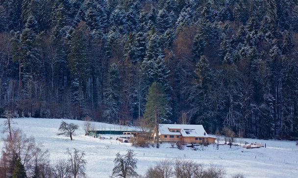 Reinach Village at winter, Switzerland - Photo, Image