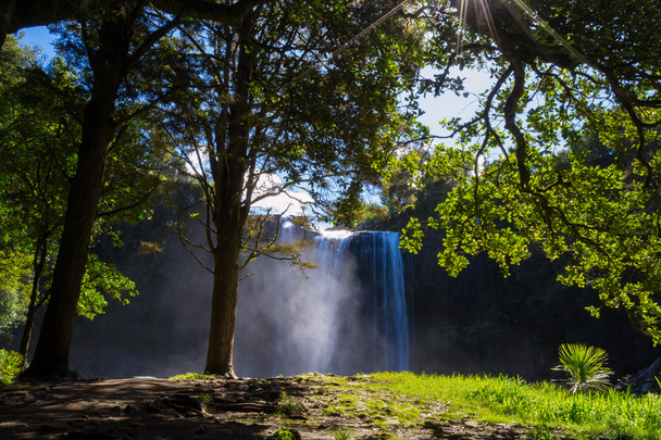 wodospad Whangarei - Zdjęcie, obraz