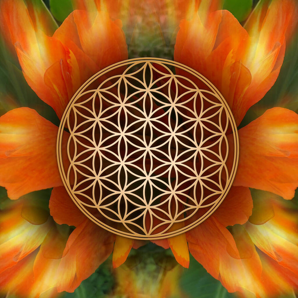 Flower Of Life on Canna Flowers Background - Foto, afbeelding