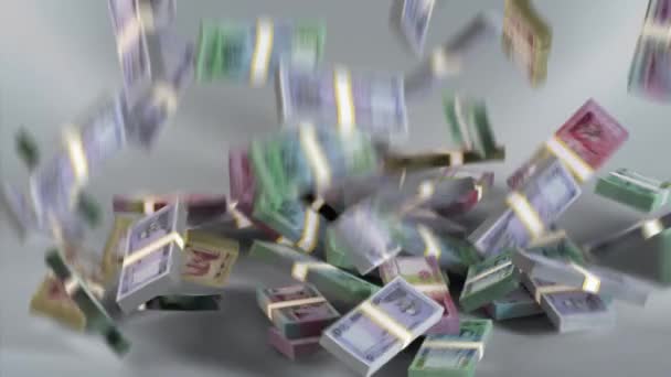 Bangladesh Banknotes Money Bundles Falling / Bangladeshi taka / Currency  / BDT - Záběry, video
