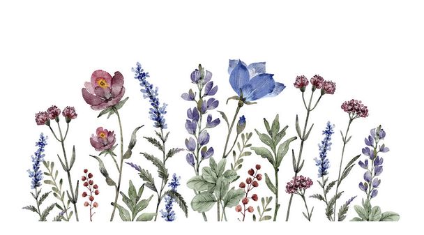 Border of blue and burgundy wildflowers and plants on a white background, watercolor illustration. - Photo, image