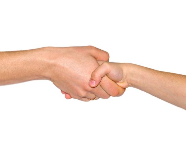 Handshake - Photo, Image