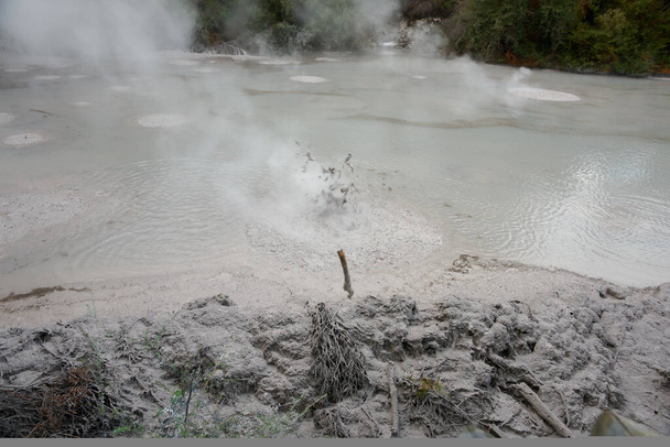 ニュージーランド北部島での地熱活動の蒸発. - 写真・画像