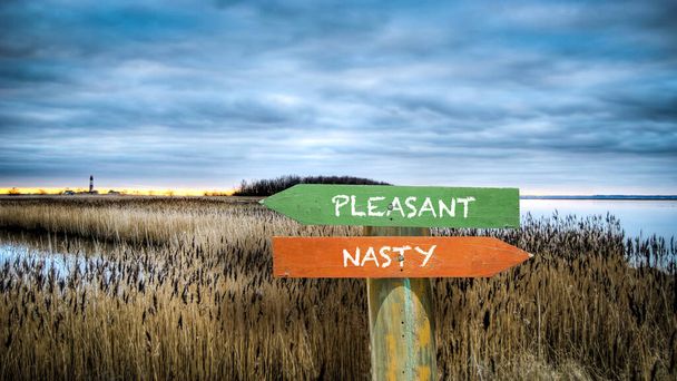 Street Sign the Direction Way to Pleasant versus Nasty - Photo, Image