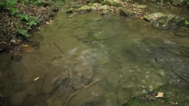 Agua corriente en el bosque de Bechirs Gorge cerca de Soroca, Moldavia - Metraje, vídeo