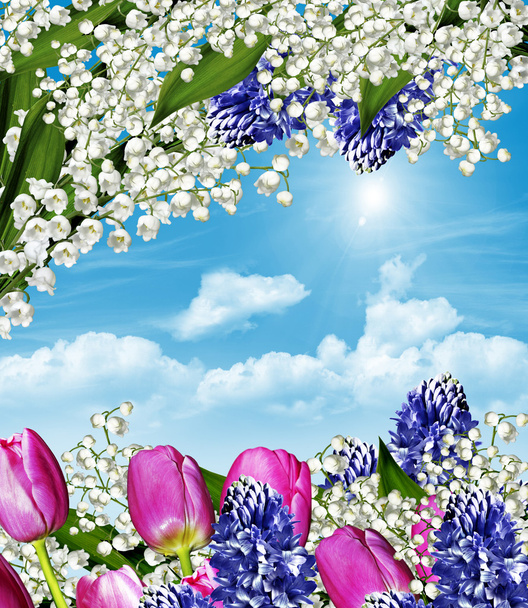 Floraler Hintergrund - Foto, Bild