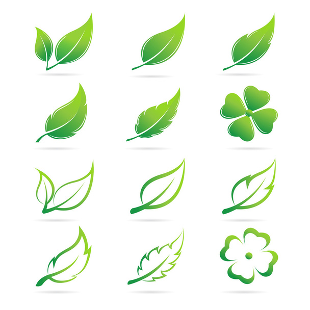 Vector leaves icon set on white background - Vector, Image