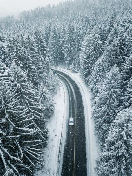 White car drives empty road in forest in the cold winter. Tourists on road trip cruising through the idyllic snow covered countryside and woods. - Photo, Image
