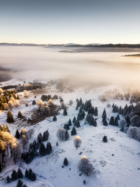 Snow covered frozen trees in the foggy sunrise, captured from above with drone. Winter nature background. Transylvania, Romania. - Photo, Image