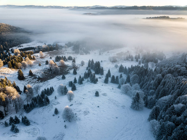 Snow covered frozen trees in the foggy sunrise, captured from above with drone. Winter nature background. Transylvania, Romania. - Photo, image