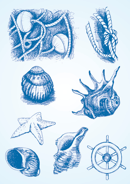 Vektör çizimi. el-çizim illüstrasyon deniz öğeleri - Vektör, Görsel