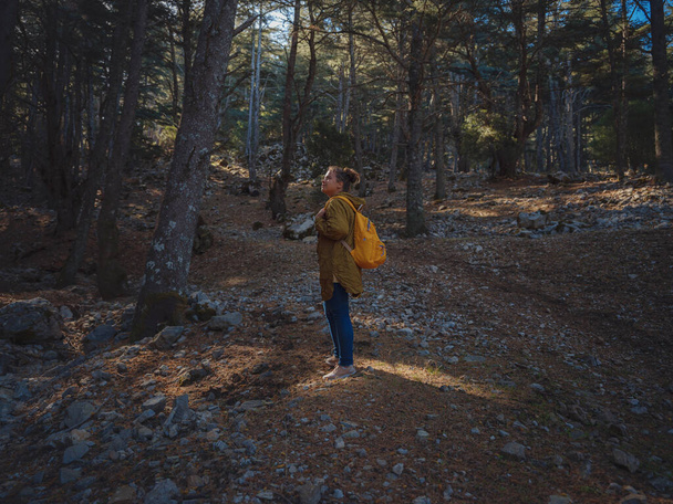 caucasian woman enjoys being in nature, beautiful forest in mountains. embracing fresh air and engaging in outdoor activities. Friluftsliv concept means spending as much time outdoors as possible - Fotografie, Obrázek