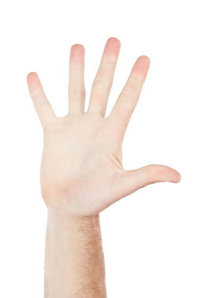 Числа, показывающие и рука человека для общения изолированы на белом фоне в студии. Дай пять, язык жестов и ладонь человека за предупреждение, разговор и привет на заднем плане. - Фото, изображение