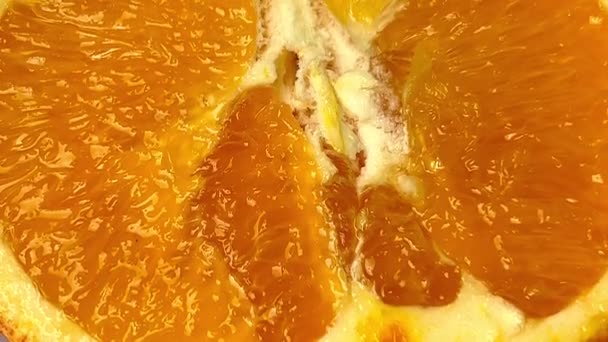 Macro shot of an orange fruit. Close-up of the pulp of an orange. - Footage, Video
