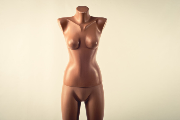 mannequin female plastic  - Φωτογραφία, εικόνα
