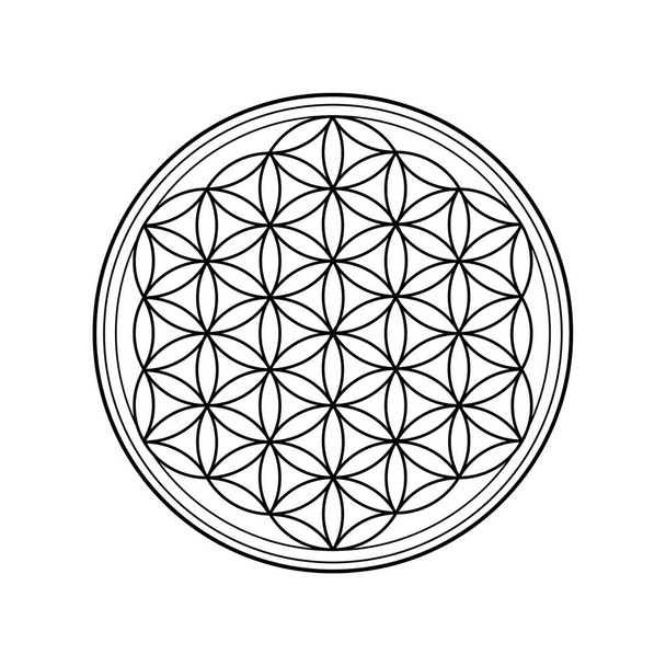 Flower of life symbol isolated on white background. Sacred geometry symbol concept. - Foto, Imagem