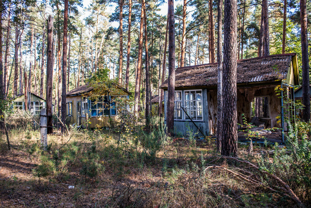 Csernobili zónában - Fotó, kép