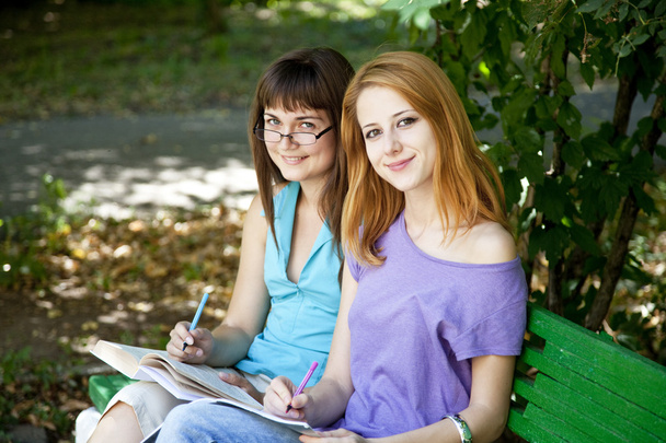 Two girlfriends doing homework at the park. - Photo, Image