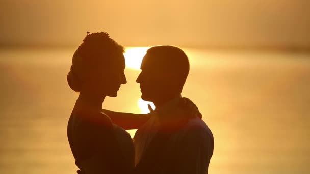 日没の愛のカップル - 映像、動画