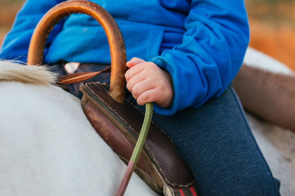 Close up view of the hand of a boy with cerebral palsy holding on to the reins of a horse during an equine therapy session. - Foto, Imagen