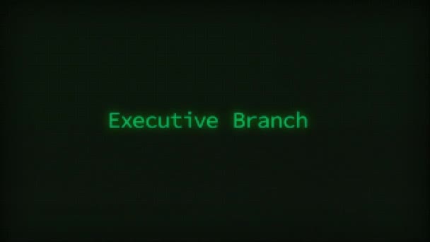 Retro Computer Coding Text Animation Typing Executive Branch, CRT Monitor Style - Materiaali, video
