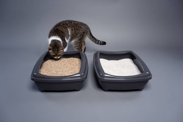 two cat litter boxes with clay and organic cat litter. concept image for side by side comparison of degradable and undegradable waste. - Fotografie, Obrázek