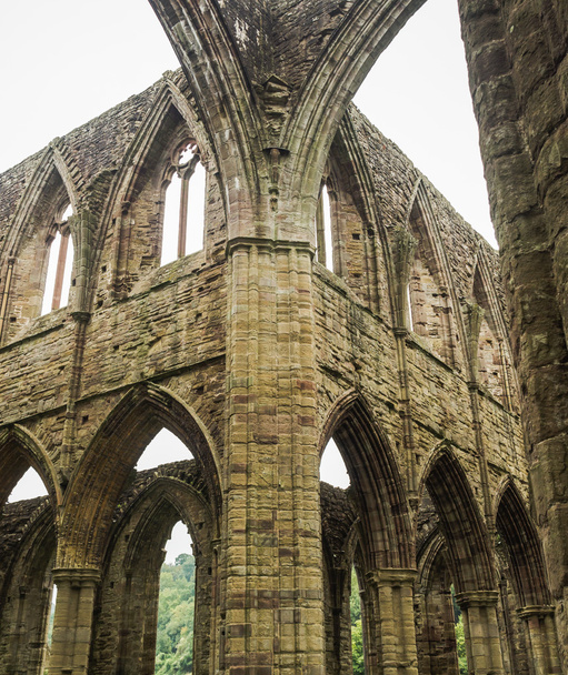 Ruínas da Abadia de Tintern, uma antiga igreja no País de Gales
 - Foto, Imagem