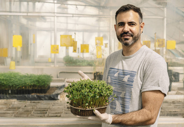 Male researcher smiles and looks at camera, holding soybean sprout plant in greenhouse. - Zdjęcie, obraz