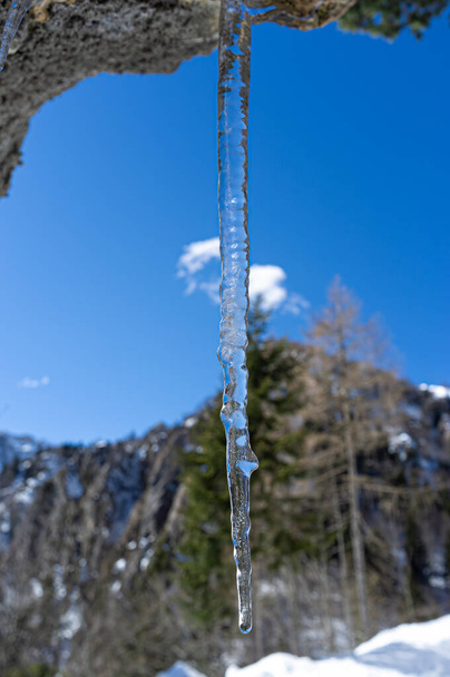 Close-up of ice stalactites against the background of a clear blue winter sky - Foto, Bild