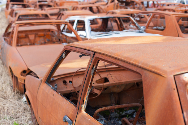 Rusty cars - Photo, Image