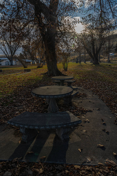 Bench and Table in Basset Park, Washtucna, WA - Zdjęcie, obraz