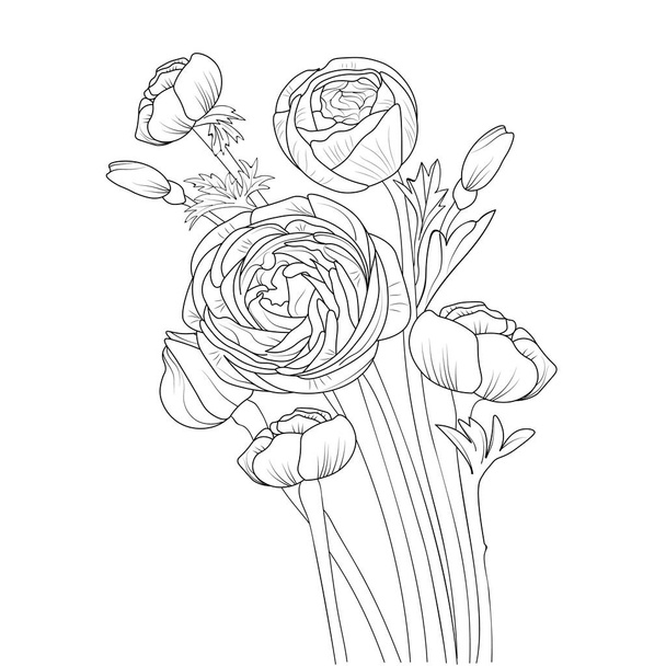 hand-drawn sketch of the ranunculus flowers. isolated on white background. vector illustration, vector illustration, the floral background of flowers, hand-drawn ink drawing, sketch, engraving style, monochrome, - Vecteur, image