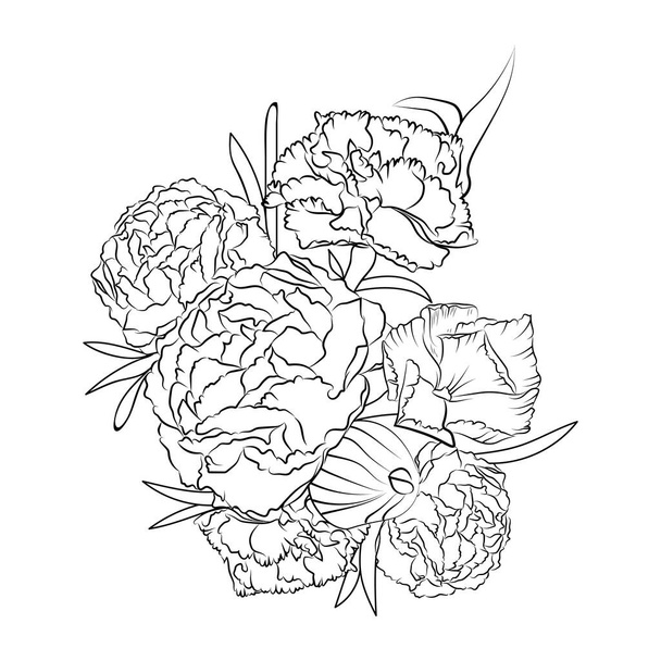 carnation flower bouquet, vector illustration of a beautiful botanical background branch of leaf hand drawn illustration coloring page - Wektor, obraz