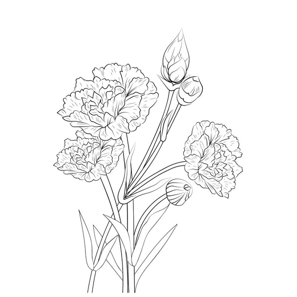 цветочный букет гвоздики, векторная иллюстрация красивой ботанической ветви ботанического фона страницы раскрашивания листьев вручную - Вектор,изображение