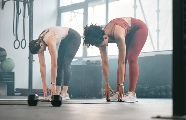 Teamwork, stretching and training with women in gym for fitness, workout and exercise. Friends, health and personal trainer with girl and muscle warm up for wellness, sports and progress goals. - Photo, Image