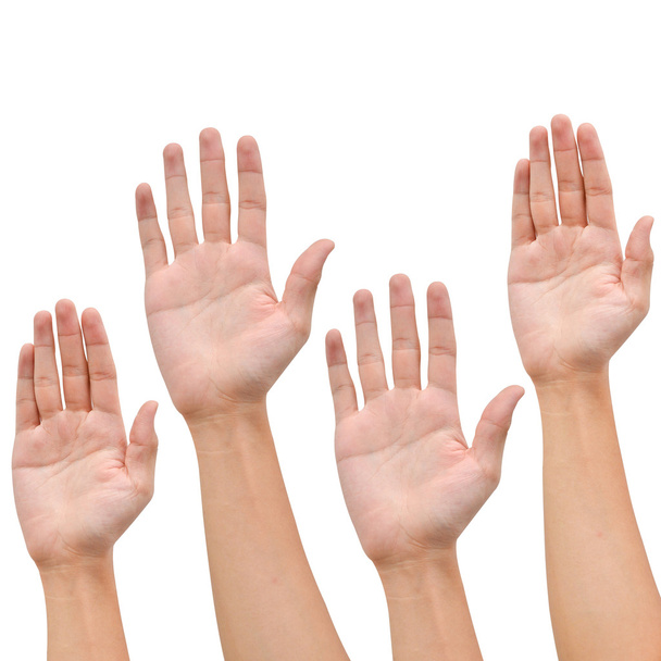 Levantar la mano sobre blanco
 - Foto, imagen
