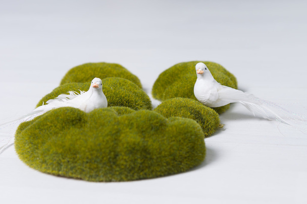 Two white doves symbolising peace - Photo, image