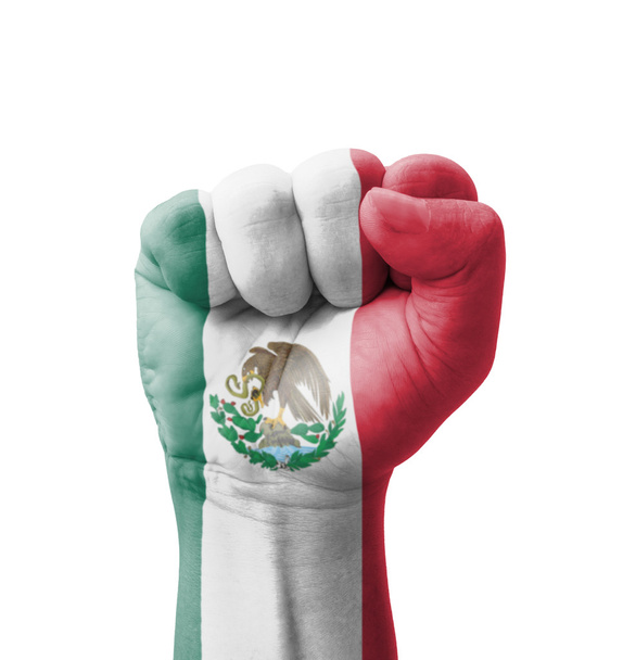 Fist of Mexico flag painted, multi purpose concept - isolated on - Photo, Image