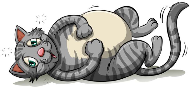 Un gato gris gordo
 - Vector, imagen