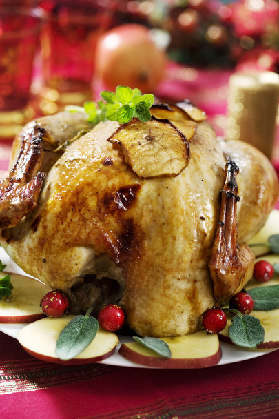 Christmas turkey - Photo, Image