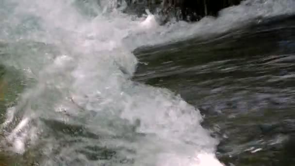 Mad River Torrent Flowing. Sound. Close-up. - Footage, Video