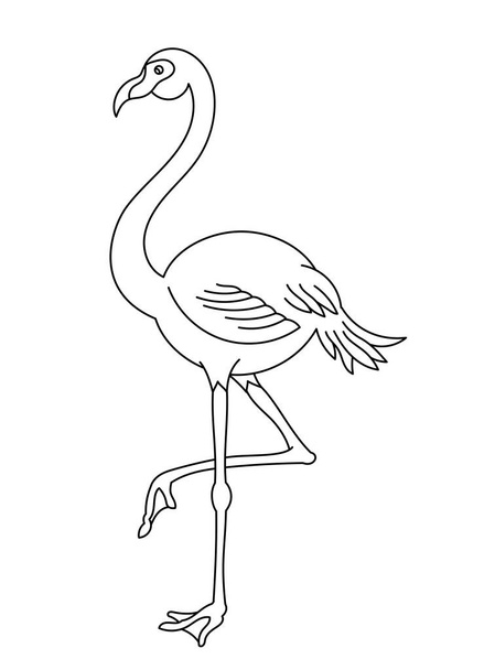 Flamingo bird. Editable outline stroke. Vector line illustration. Open paths. - Vettoriali, immagini