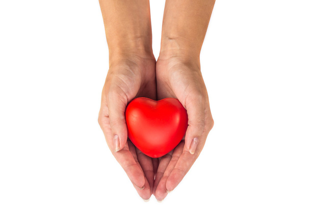 Love heart in woman hands - Foto, immagini