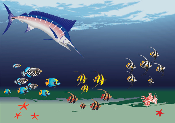 Unterwasser mit Marlin - Vektor, Bild