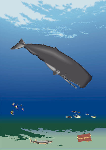 Underwater with sperm whale - Vector, Image