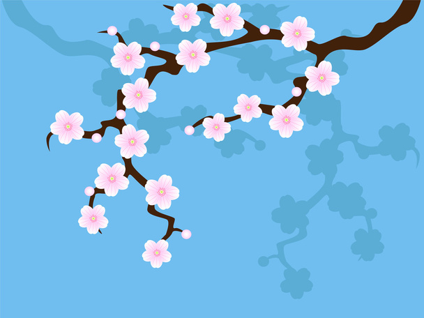Sakura kwiat na niebiesko - Wektor, obraz