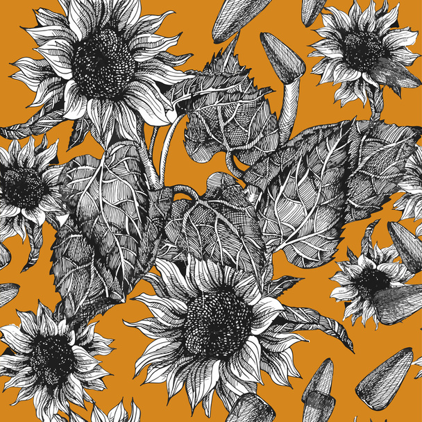 Seamless pattern with sunflowers - Vector, afbeelding